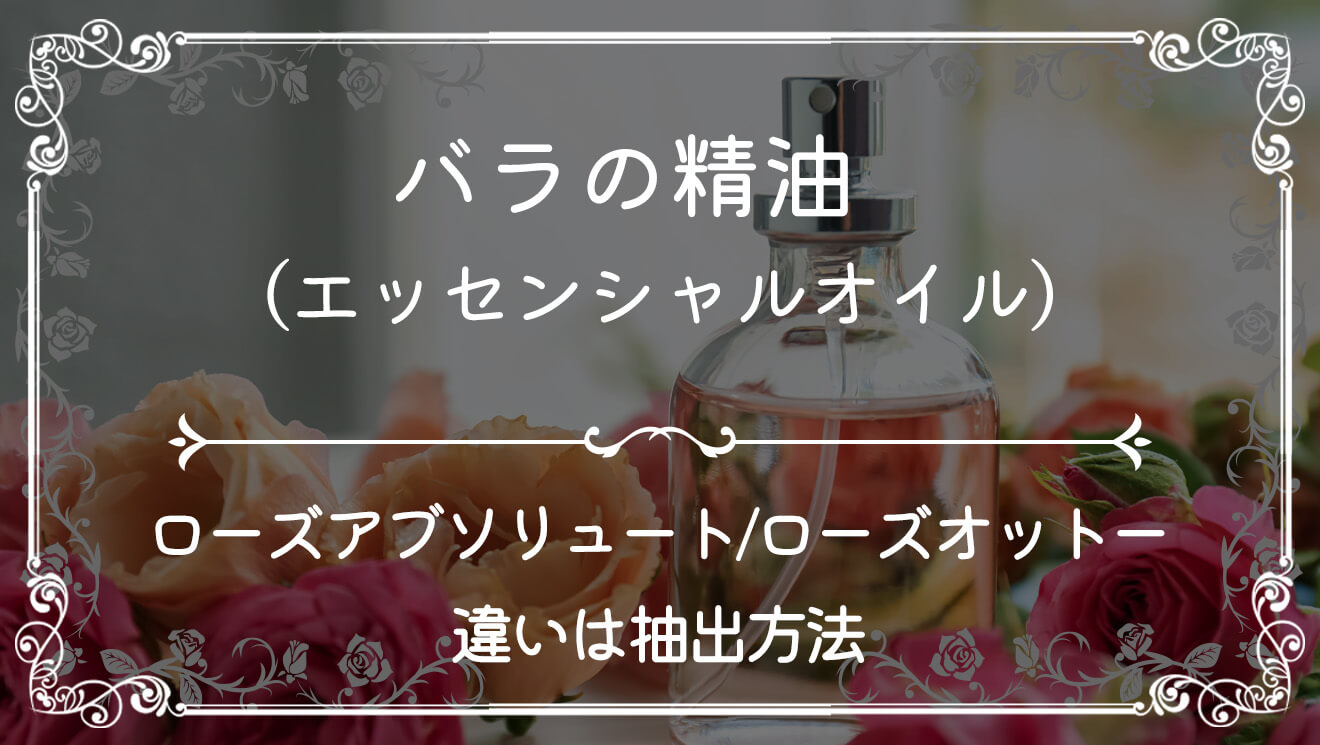 【バラの精油(エッセンシャルオイル)】ローズアブソリュート/ローズオットー【違いは抽出方法】