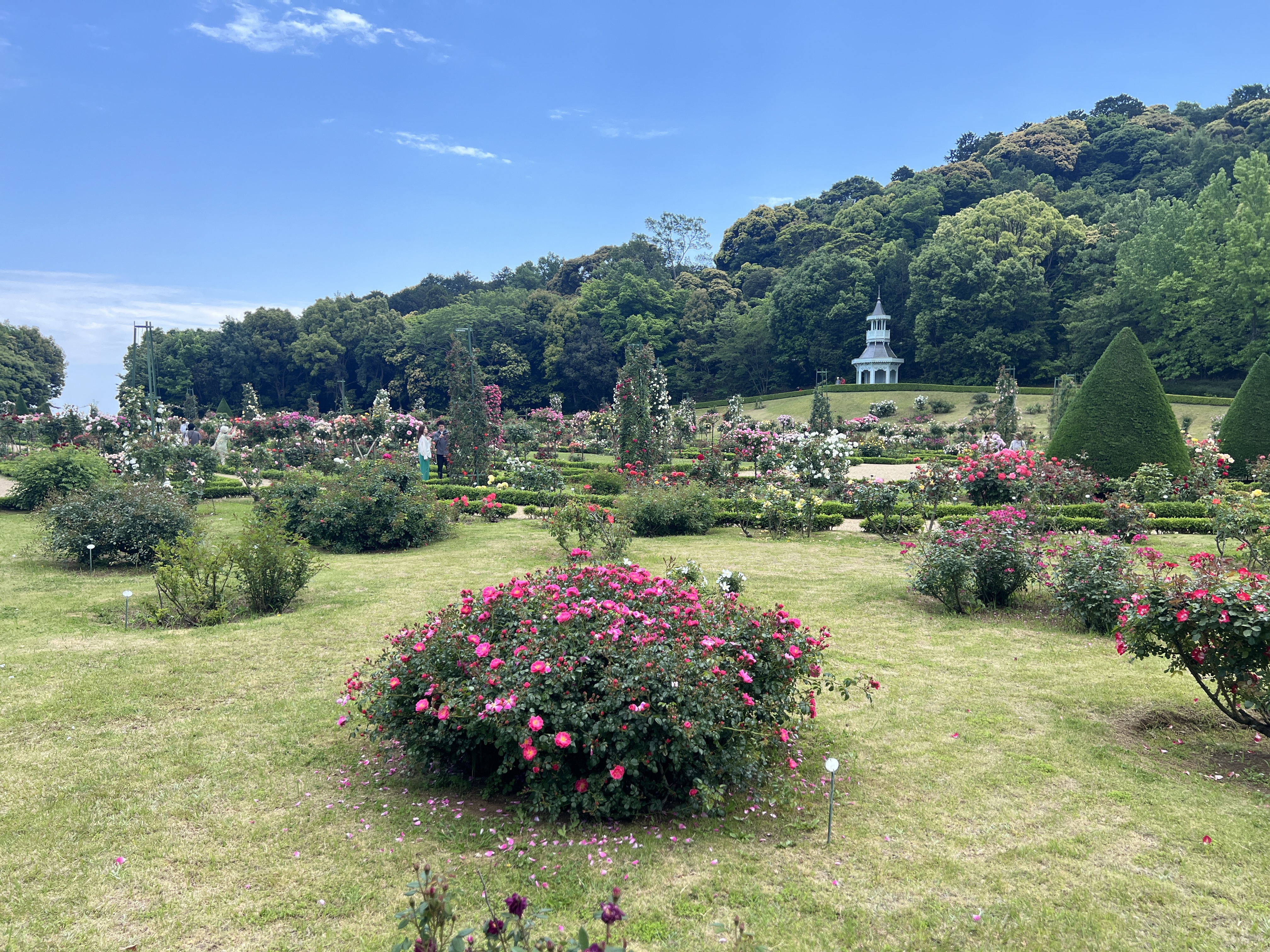河津バガテル公園のローズガーデン入り口から